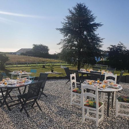 La Veuzaine Bed and Breakfast Onzain Eksteriør billede