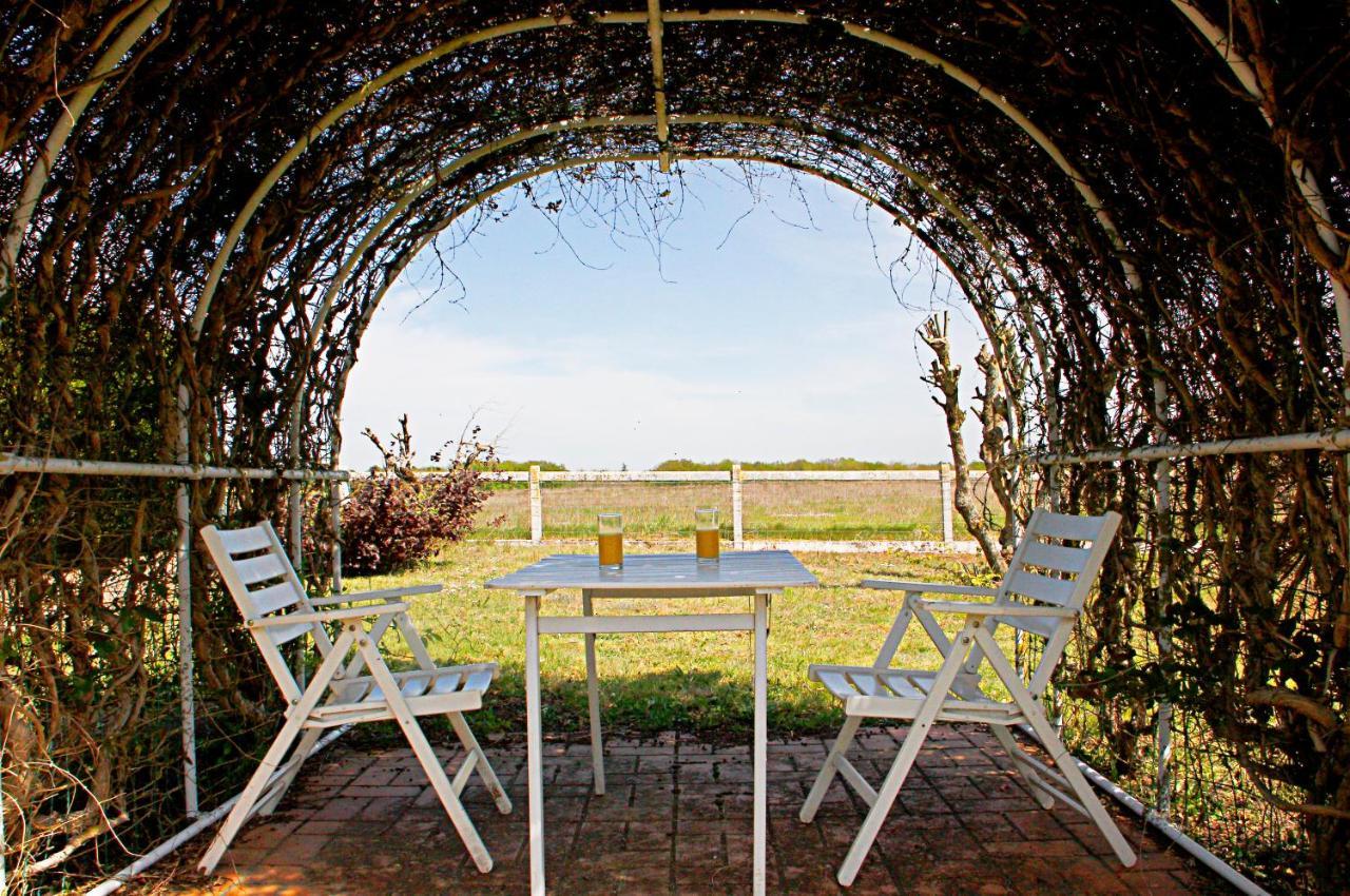 La Veuzaine Bed and Breakfast Onzain Eksteriør billede