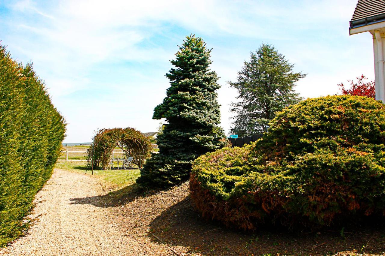 La Veuzaine Bed and Breakfast Onzain Eksteriør billede