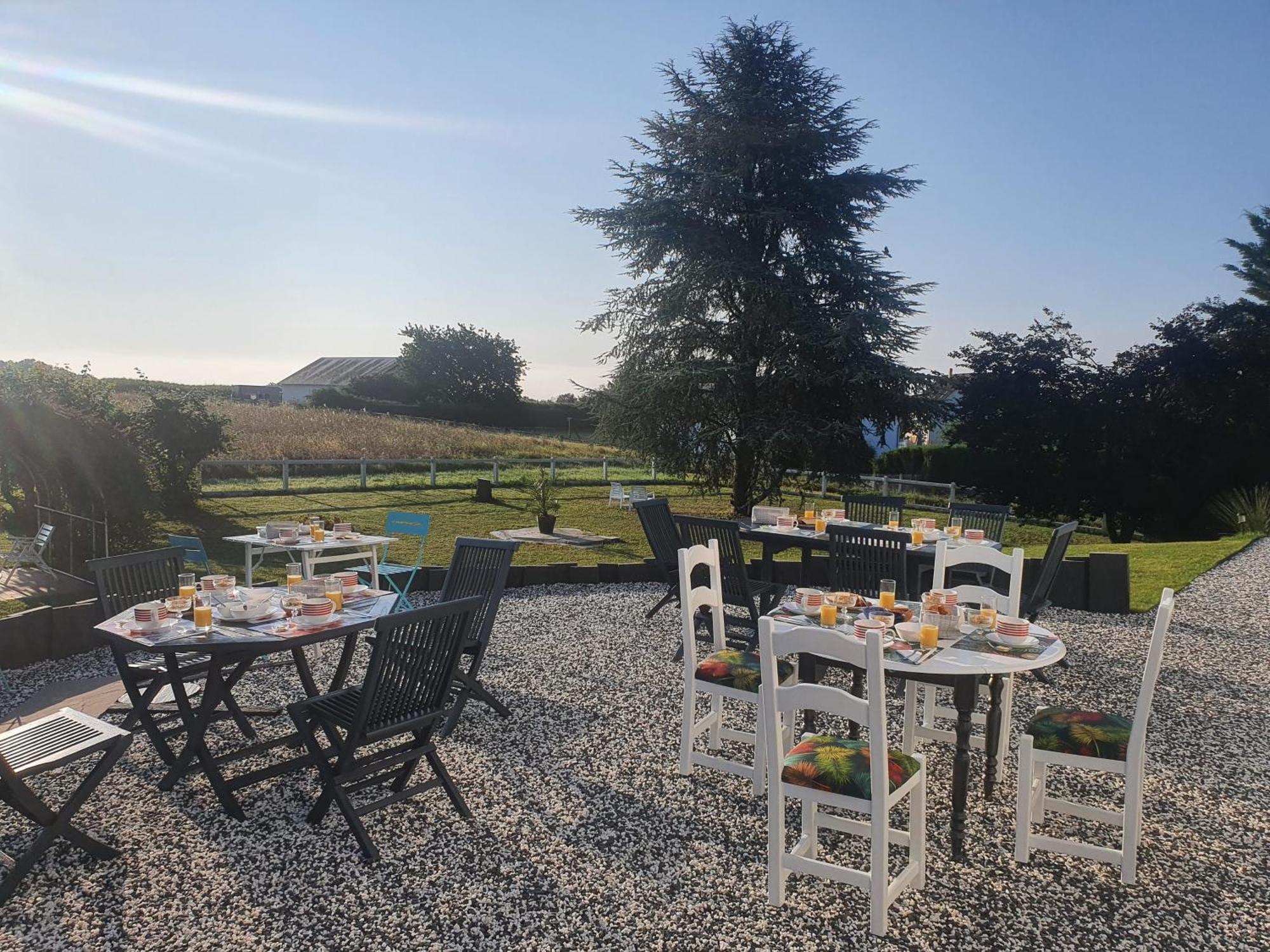 La Veuzaine Bed and Breakfast Onzain Eksteriør billede